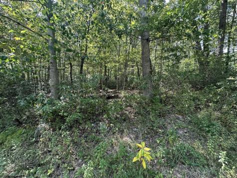 70 Pine Drive Terra Alta WV 26764