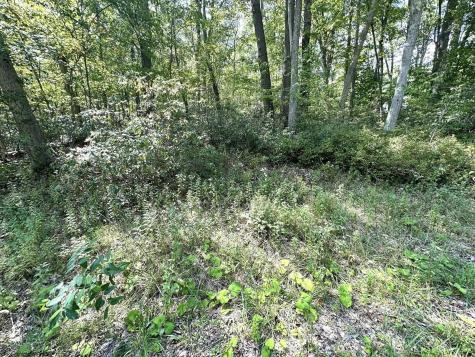 70 Pine Drive Terra Alta WV 26764