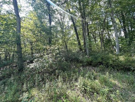 70 Pine Drive Terra Alta WV 26764