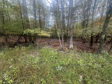 27 Alpine Drive Terra Alta WV 26764