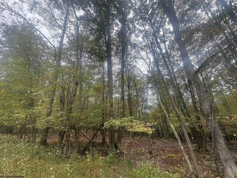 27 Alpine Drive Terra Alta WV 26764
