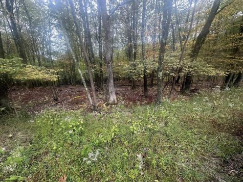 27 Alpine Drive Terra Alta WV 26764