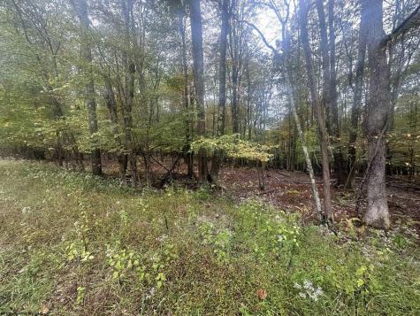 27 Alpine Drive Terra Alta WV 26764