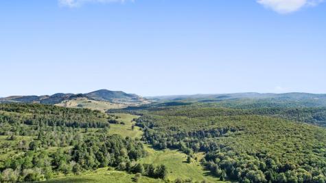 1303 Sinks Road Harman WV 26270