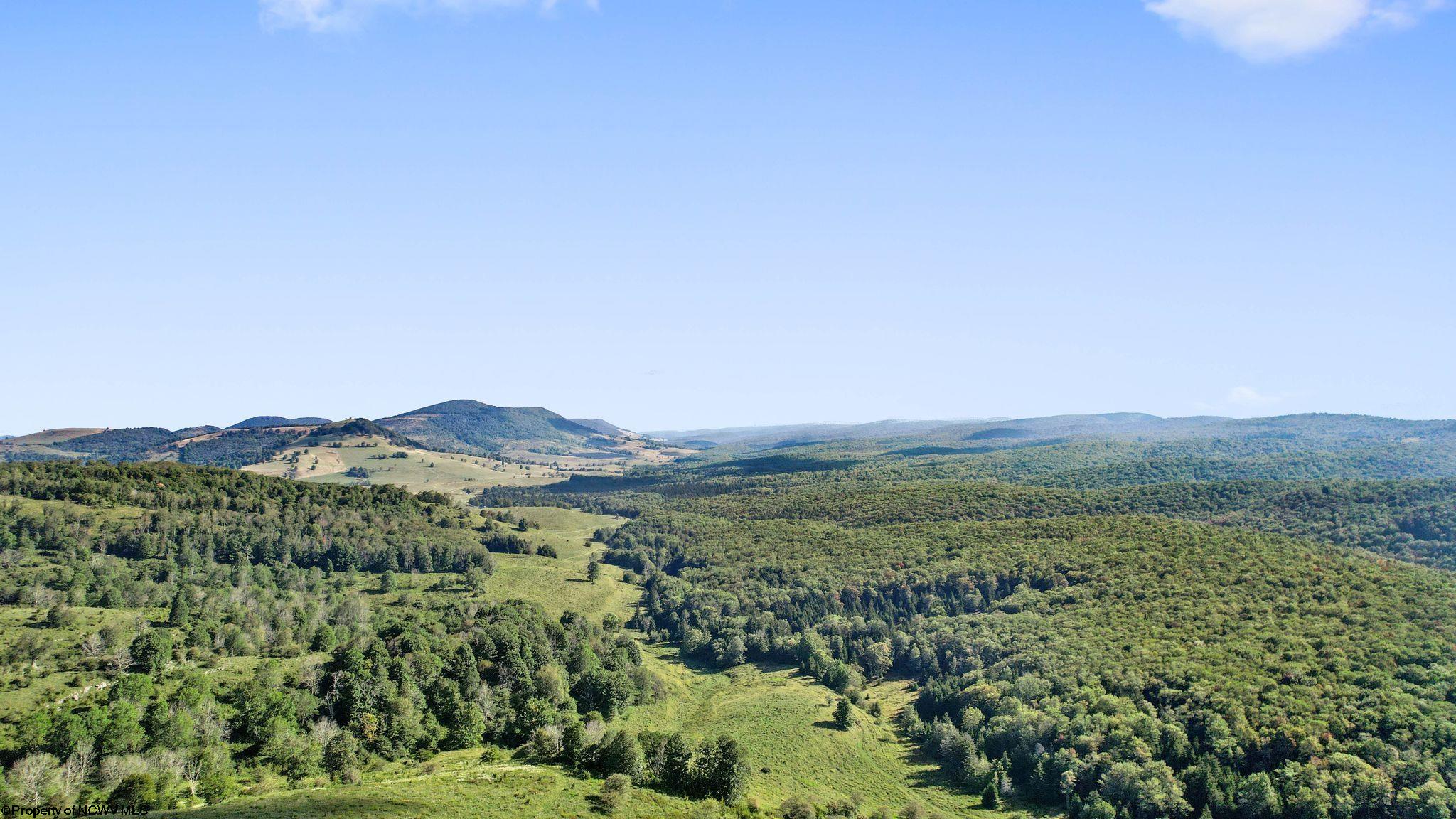 1303 Sinks Road Harman WV 26270