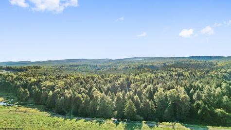 1303 Sinks Road Harman WV 26270