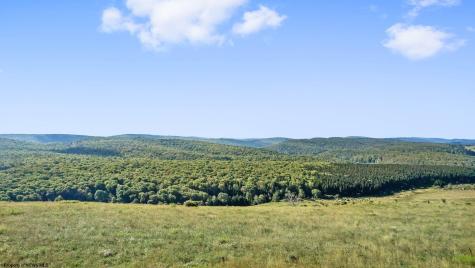 1303 Sinks Road Harman WV 26270