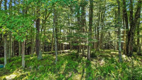 1303 Sinks Road Harman WV 26270