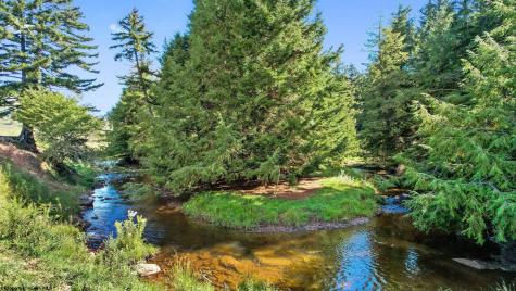 1303 Sinks Road Harman WV 26270