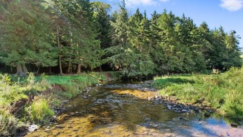 1303 Sinks Road Harman WV 26270