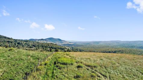 1303 Sinks Road Harman WV 26270