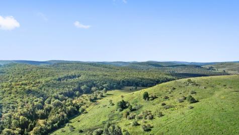 1303 Sinks Road Harman WV 26270