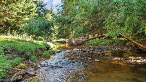 1303 Sinks Road Harman WV 26270