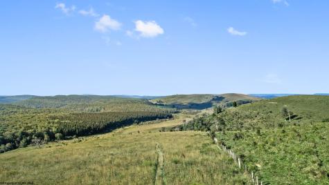 1303 Sinks Road Harman WV 26270