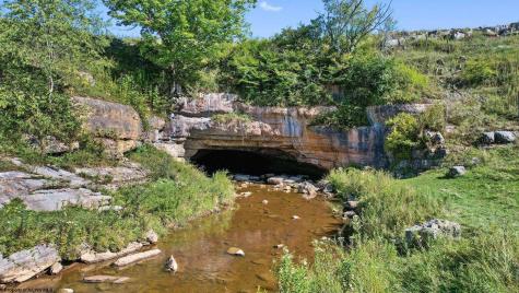 1303 Sinks Road Harman WV 26270