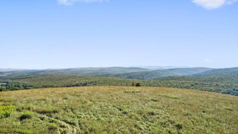 1303 Sinks Road Harman WV 26270