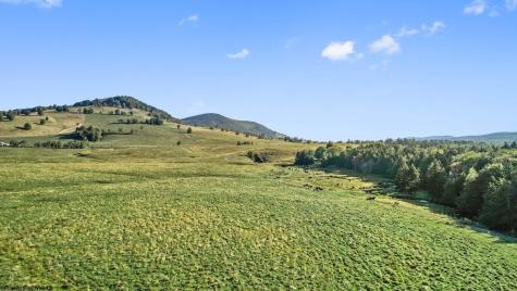 1303 Sinks Road Harman WV 26270