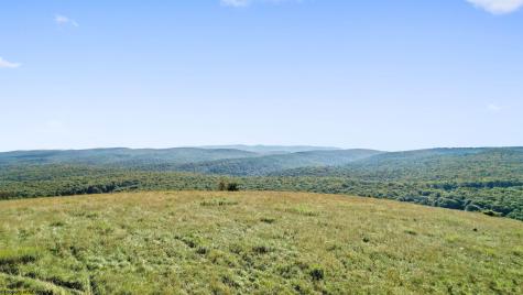 1303 Sinks Road Harman WV 26270