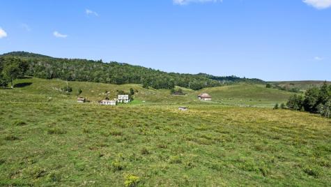 1303 Sinks Road Harman WV 26270