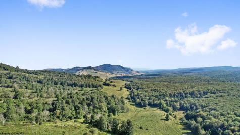 1303 Sinks Road Harman WV 26270