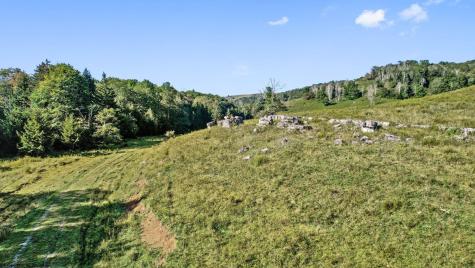 1303 Sinks Road Harman WV 26270