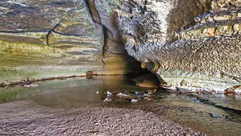 1303 Sinks Road Harman WV 26270