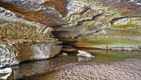 1303 Sinks Road Harman WV 26270