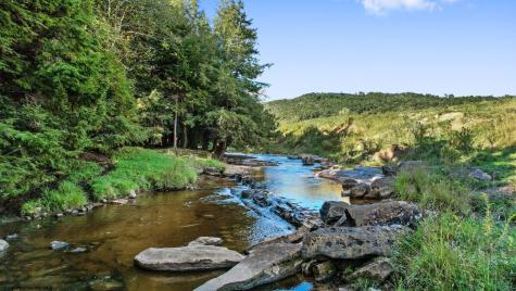 1303 Sinks Road Harman WV 26270