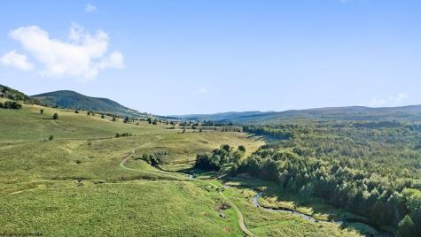 1303 Sinks Road Harman WV 26270