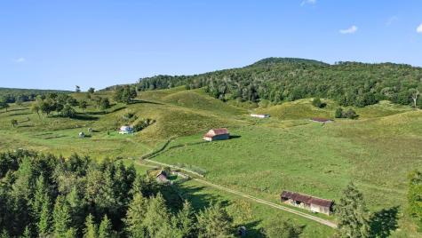 1303 Sinks Road Harman WV 26270