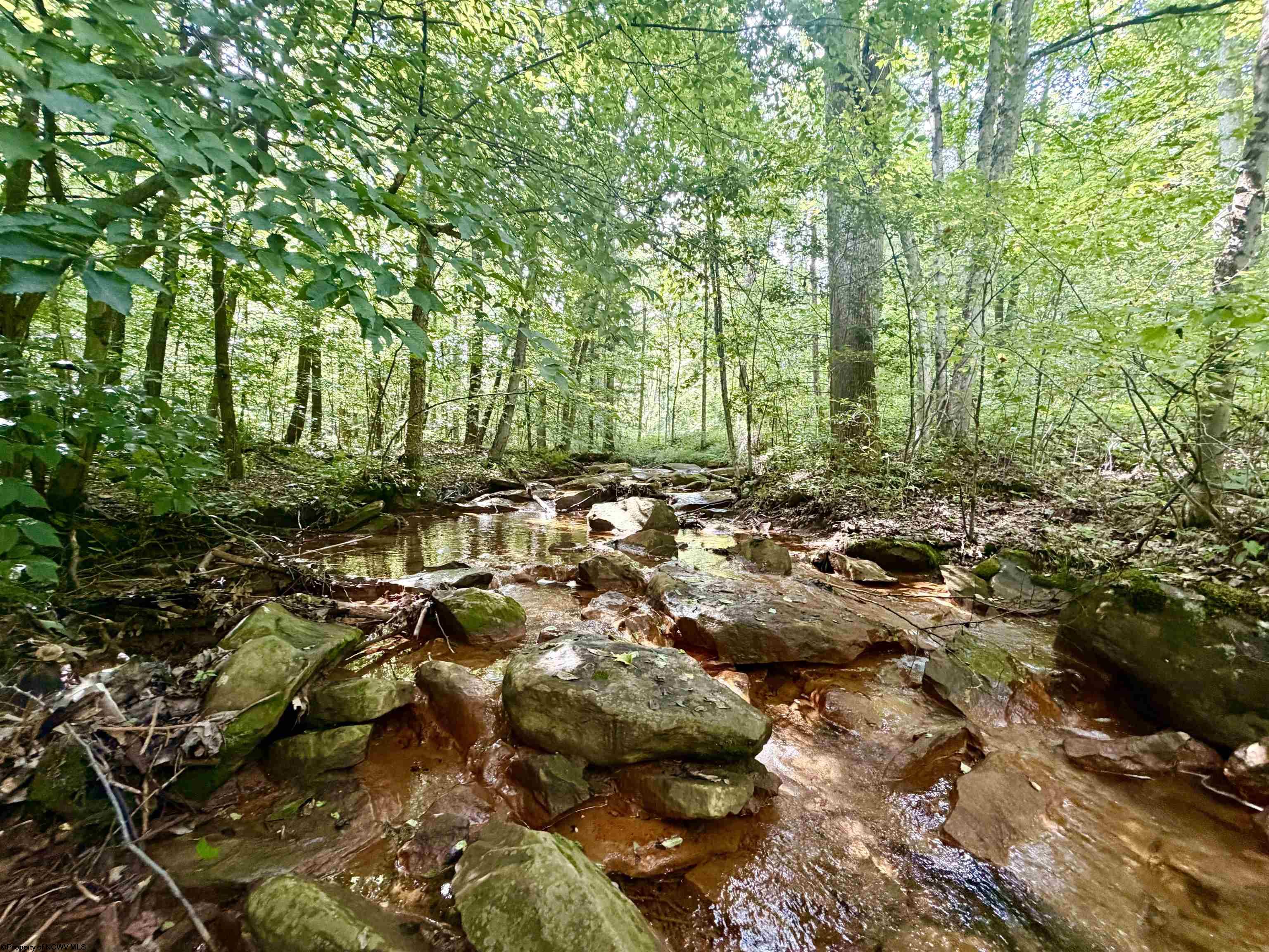 1028 Blanche Fullmer Road Tunnelton WV 26444