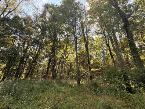 1028 Blanche Fullmer Road Tunnelton WV 26444