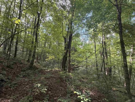 1028 Blanche Fullmer Road Tunnelton WV 26444
