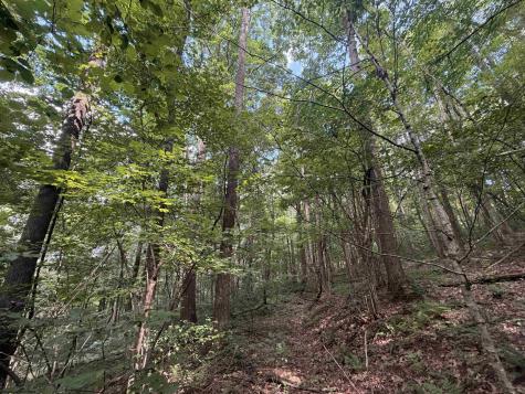 1028 Blanche Fullmer Road Tunnelton WV 26444