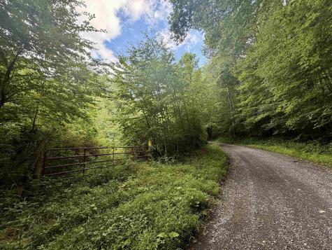 1028 Blanche Fullmer Road Tunnelton WV 26444