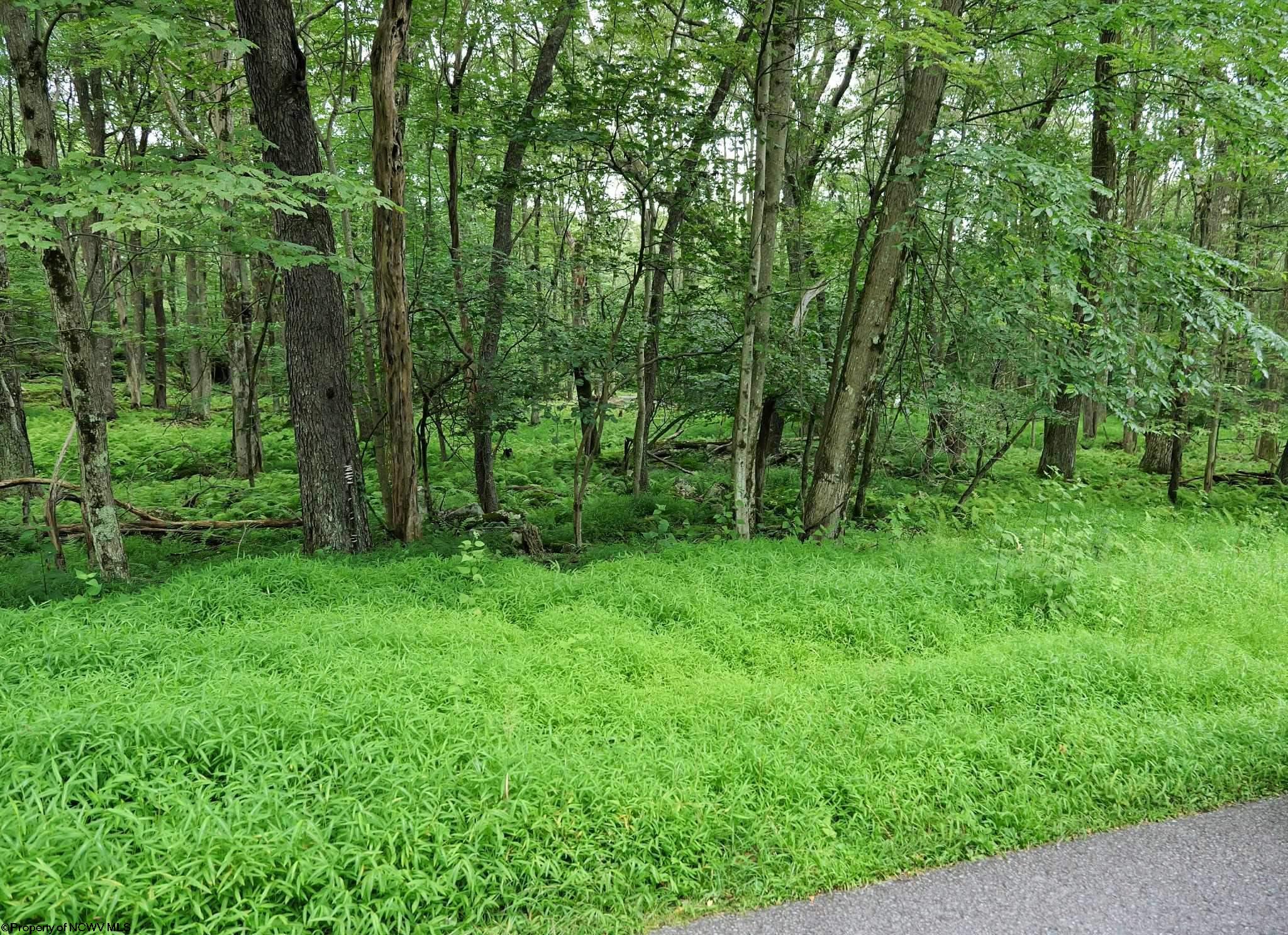 94 E Alpine Drive Terra Alta WV 26764