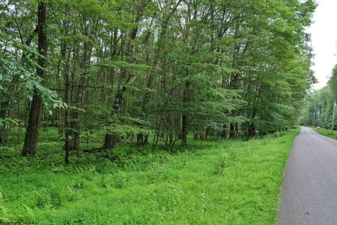 94 E Alpine Drive Terra Alta WV 26764