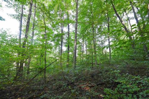 1 England Road Philippi WV 26416
