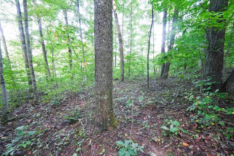 1 England Road Philippi WV 26416