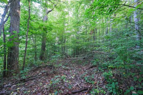 1 England Road Philippi WV 26416