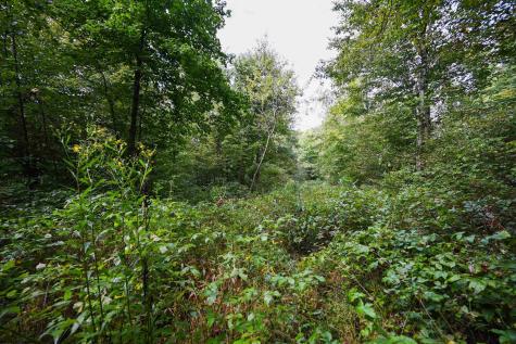 1 England Road Philippi WV 26416