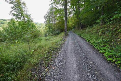 1 England Road Philippi WV 26416