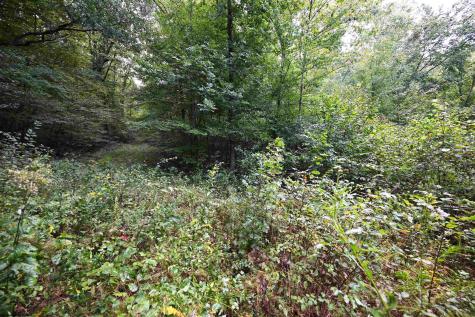 1 England Road Philippi WV 26416