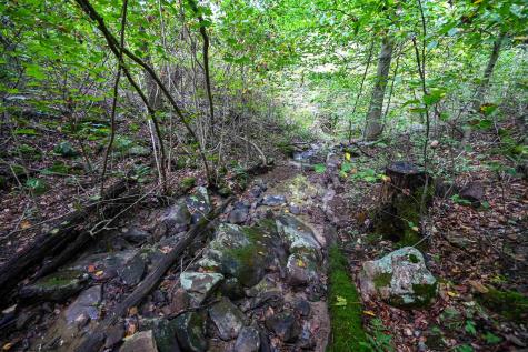 1 England Road Philippi WV 26416