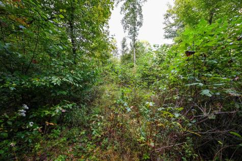 1 England Road Philippi WV 26416