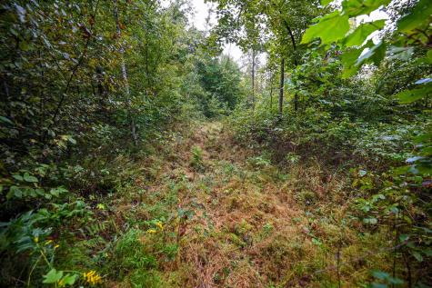 1 England Road Philippi WV 26416