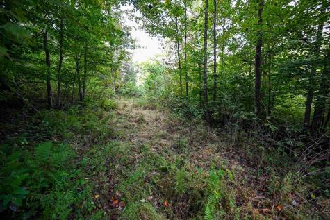 1 England Road Philippi WV 26416