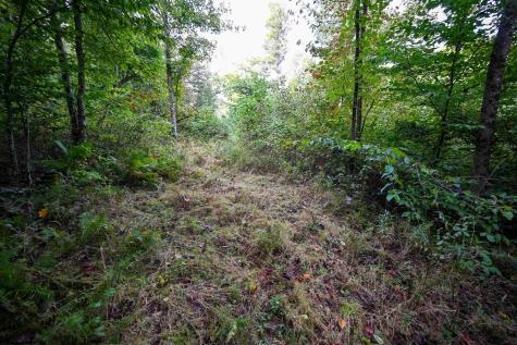 1 England Road Philippi WV 26416