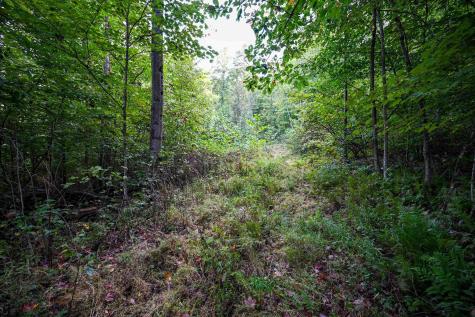 1 England Road Philippi WV 26416