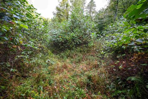 1 England Road Philippi WV 26416
